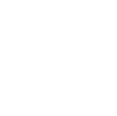 Nexus Acquisition Group logo